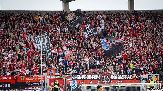 FC Ingolstadt 04 vs Bayer 04 Leverkusen (1-1) (5)