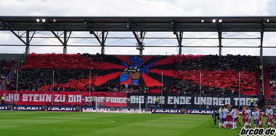 FC Ingolstadt 04 vs FC Schalke 04 (1-1) (1)