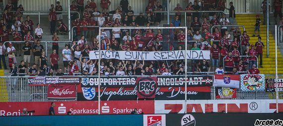 SV Sandhausen vs FC Ingolstadt 04 (1-0) (4)