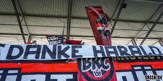 FC Ingolstadt 04 vs SV Sandhausen (1-2) (16)