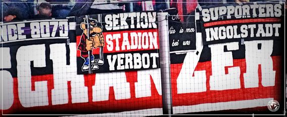 FC Ingolstadt 04 vs SC Preußen Münster (3-2) (1)