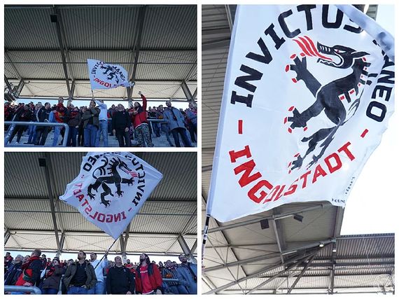 FC Ingolstadt 04 vs Holstein Kiel (1-1) (4)