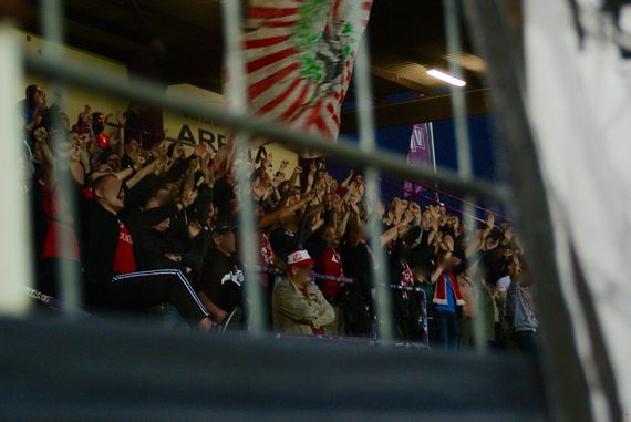 VfL Osnabrück vs FC Rot-Weiß Erfurt (3-0) (8)