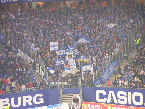 Hamburger SV vs FC Schalke 04 (1-2) (3)