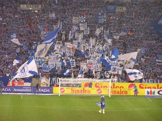 FC Schalke 04 vs VfL Wolfsburg (3-0) (1)