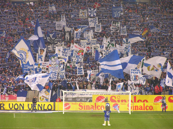 FC Schalke 04 vs VfL Wolfsburg (3-0) (2)