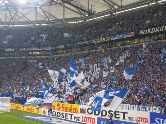 FC Schalke 04 vs VfL Wolfsburg (3-0) (6)