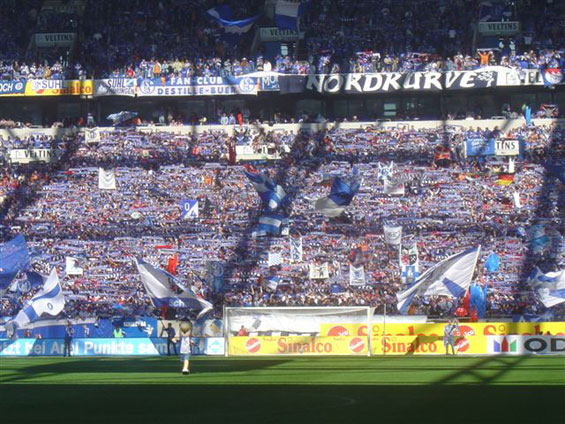 FC Schalke 04 vs 1. FC Nürnberg (4-1) (2)