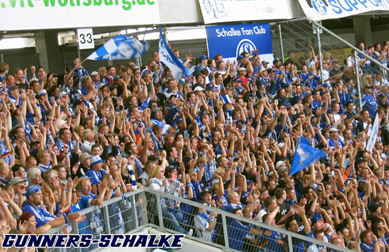 VfL Wolfsburg vs FC Schalke 04 (3-0) (2)