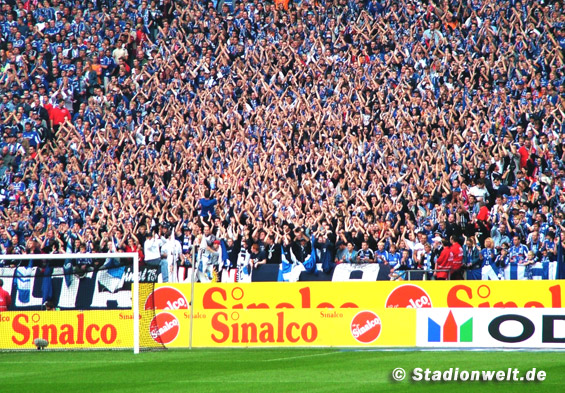 FC Schalke 04 vs VfL Bochum (3-2) (4)