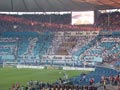 FC Bayern München vs FC Schalke 04 (2-1)