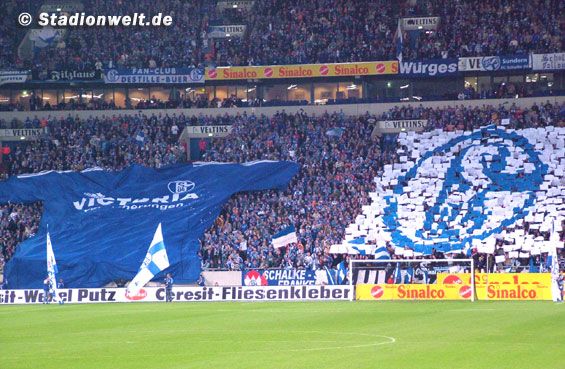 FC Schalke 04 vs FC Basel (1-1) (3)