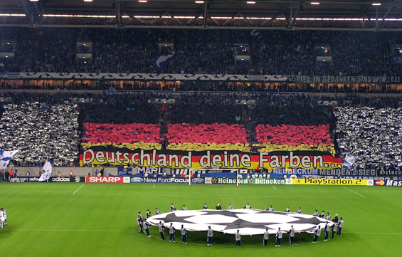 FC Schalke 04 vs Fenerbahce Istanbul (2-0) (4)