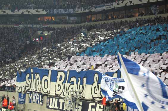FC Schalke 04 vs Fenerbahce Istanbul (2-0) (7)