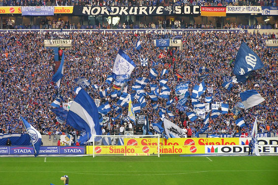 FC Schalke 04 vs MSV Duisburg (3-0) (7)