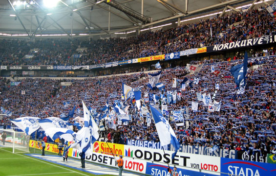 FC Schalke 04 vs 1. FSV Mainz 05 (1-0) (2)