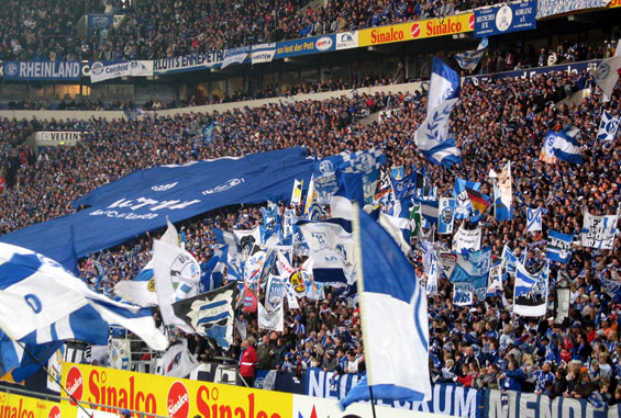 FC Schalke 04 vs 1. FSV Mainz 05 (1-0) (3)