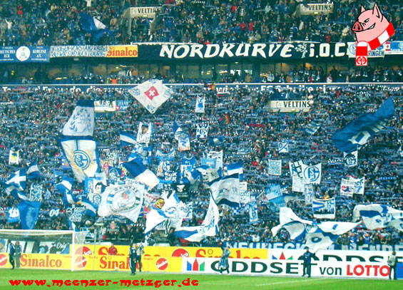FC Schalke 04 vs 1. FSV Mainz 05 (1-0) (5)