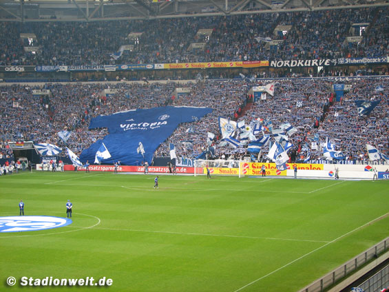 FC Schalke 04 vs 1. FC Köln (1-1) (2)