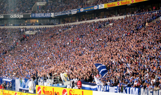 FC Schalke 04 vs 1. FC Köln (1-1) (6)