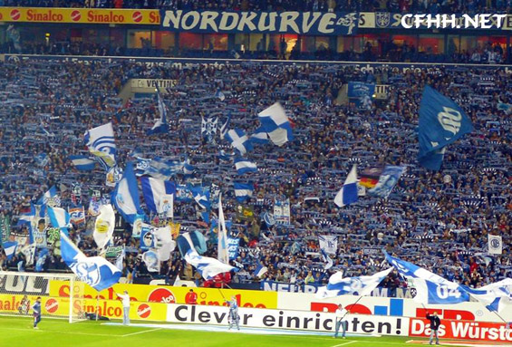 FC Schalke 04 vs Hamburger SV (0-2) (1)