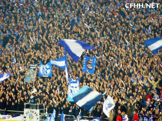 FC Schalke 04 vs Hamburger SV (0-2) (2)