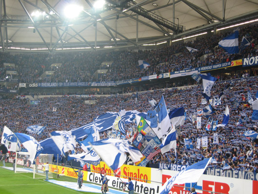 FC Schalke 04 vs VfB Stuttgart (1-0) (12)