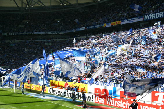 FC Schalke 04 vs FC Energie Cottbus (2-0) (8)