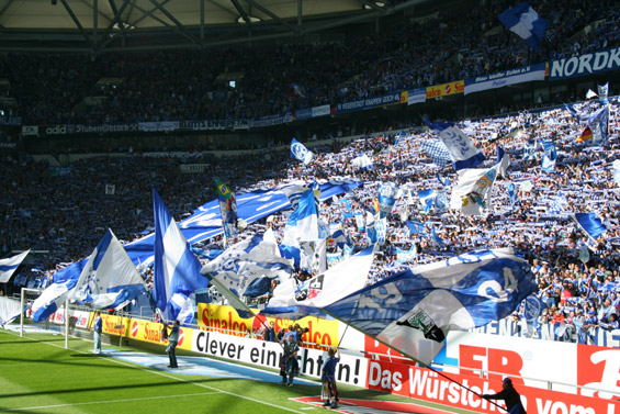 FC Schalke 04 vs FC Energie Cottbus (2-0) (10)