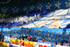 FC Schalke 04 vs 1. FC Nürnberg (1-0)
