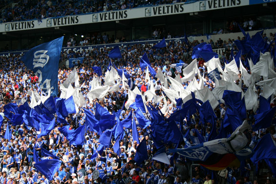 FC Schalke 04 vs 1. FC Nürnberg (1-0) (2)