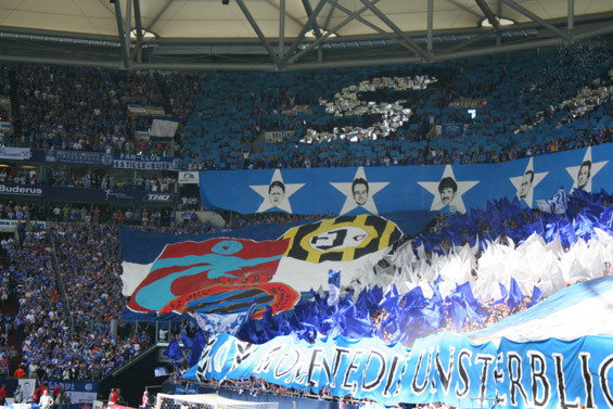 FC Schalke 04 vs 1. FC Nürnberg (1-0) (11)