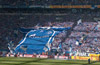 FC Schalke 04 vs DSC Arminia Bielefeld (2-0)