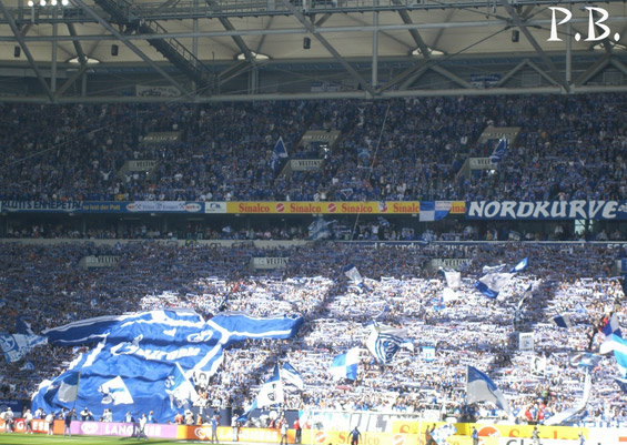 FC Schalke 04 vs DSC Arminia Bielefeld (2-0) (5)
