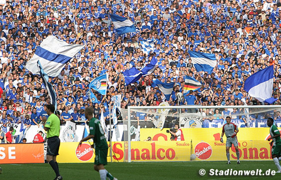 FC Schalke 04 vs VfL Wolfsburg (2-0) (4)
