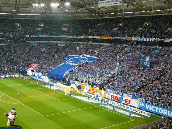 FC Schalke 04 vs VfL Bochum (1-0) (6)