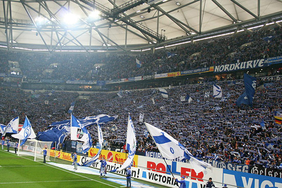 FC Schalke 04 vs FC Hansa Rostock (1-0) (3)