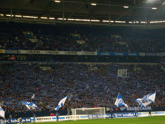 FC Schalke 04 vs FC Basel (1-1) (1)