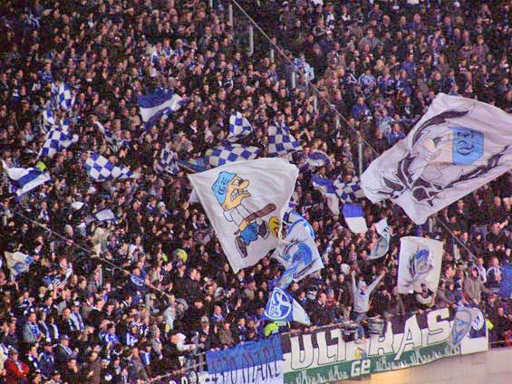 Hannover 96 vs FC Schalke 04 (1-0) (3)