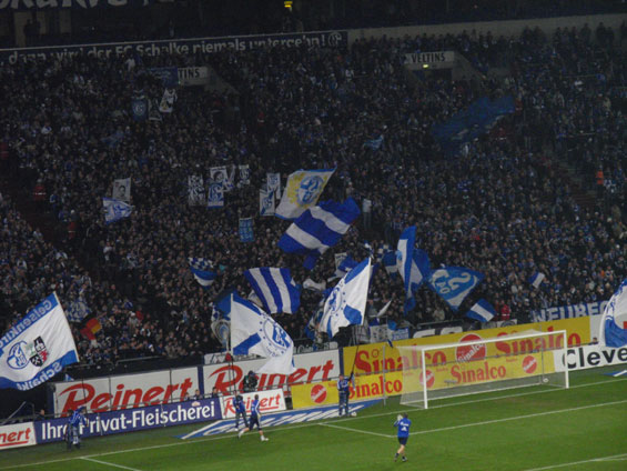 FC Schalke 04 vs 1. FSV Mainz 05 (1-0) (1)