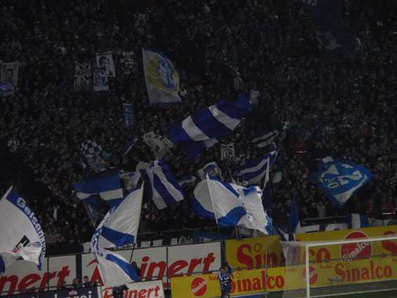 FC Schalke 04 vs 1. FSV Mainz 05 (1-0) (2)