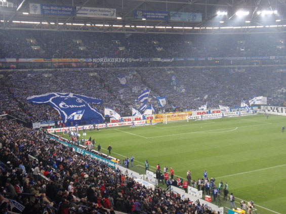 FC Schalke 04 vs 1. FSV Mainz 05 (1-0) (5)