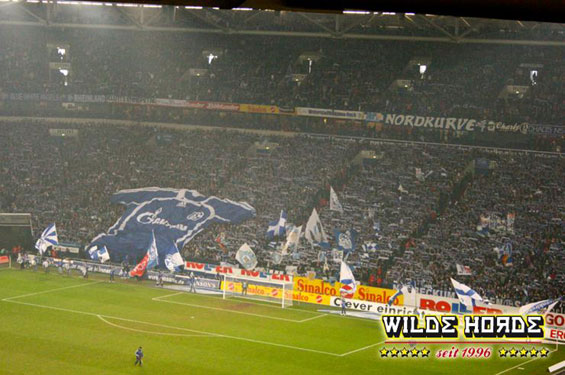 FC Schalke 04 vs 1. FC Köln (2-0) (1)