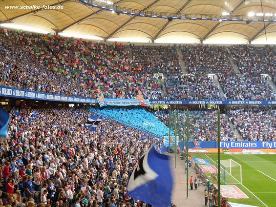 Hamburger SV vs FC Schalke 04 (1-2) (10)
