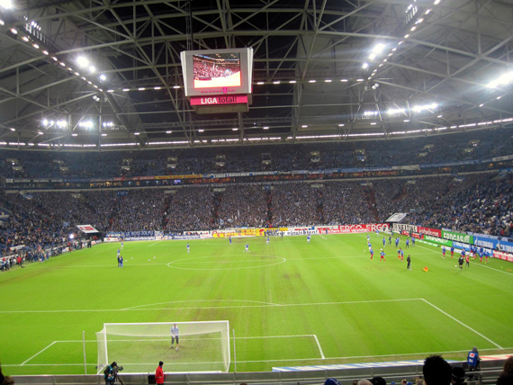 FC Schalke 04 vs Hamburger SV (0-1) (7)