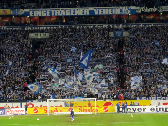 FC Schalke 04 vs Hamburger SV (0-1) (9)
