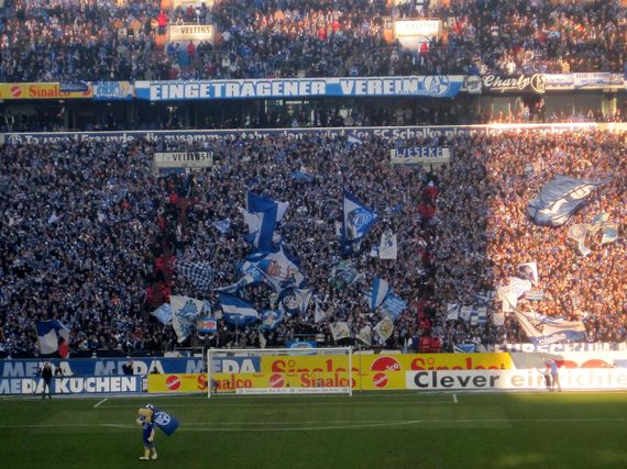 FC Schalke 04 vs TSG Hoffenheim (0-1) (3)