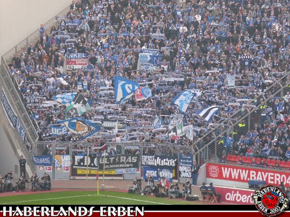 Bayer 04 Leverkusen vs FC Schalke 04 (2-0) (5)