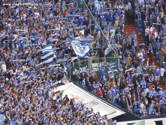 FC Schalke 04 vs VfL Wolfsburg (1-0) (3)