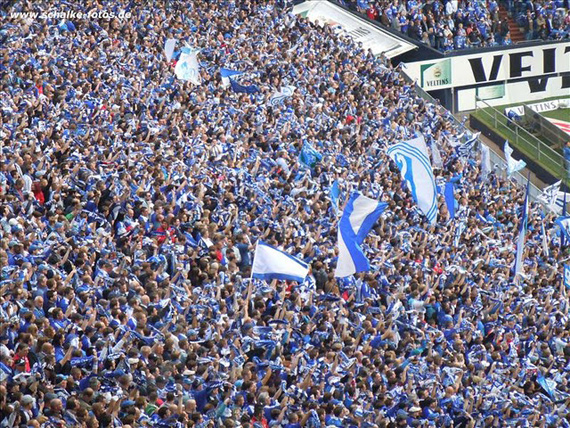 FC Schalke 04 vs VfL Wolfsburg (1-0) (7)